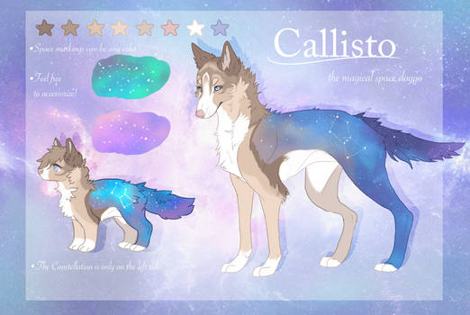 Callisto ref