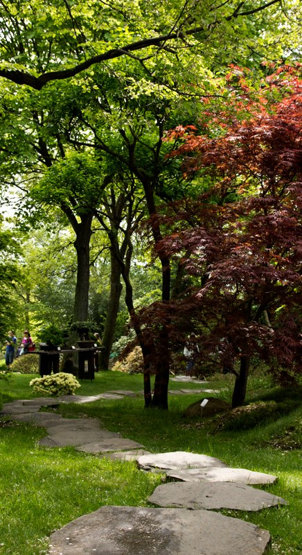 Japenese Garden I.