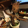 Babygroot