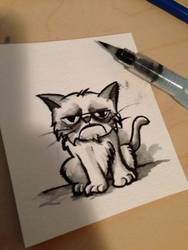 Grumpy cat