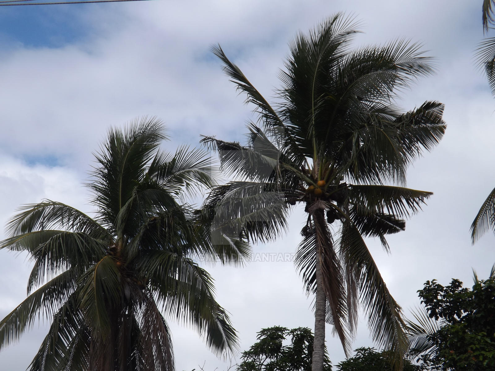 Samar Skyline