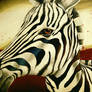 Zebra Dreams..