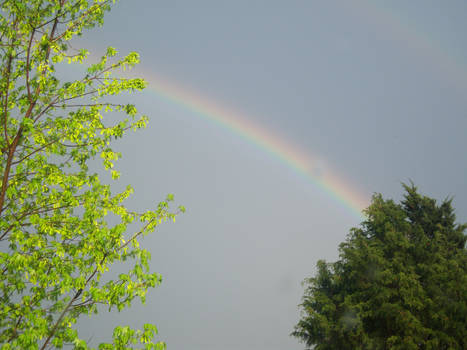 Rainbow 2