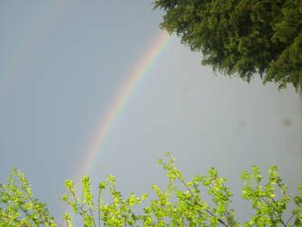 Rainbow 3