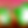 The BIG Poll: Yoshi