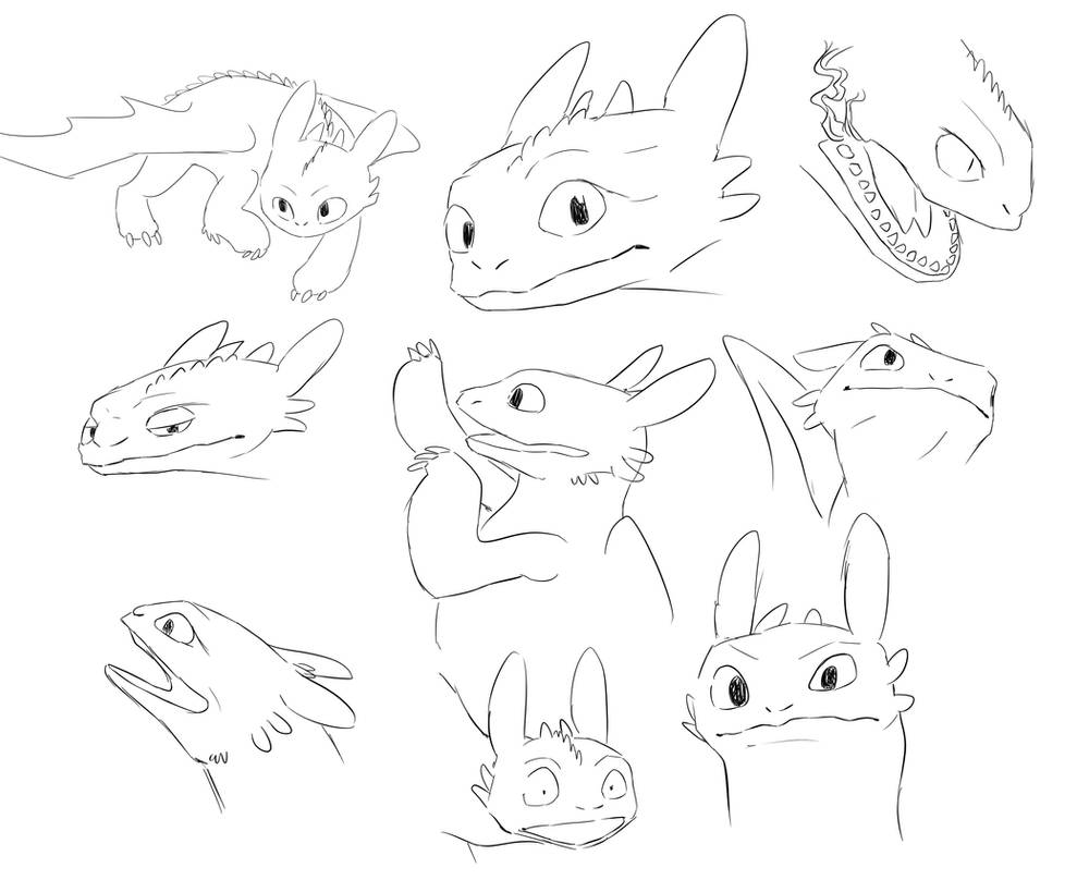Toothless study by CreativeRocket on DeviantArt
