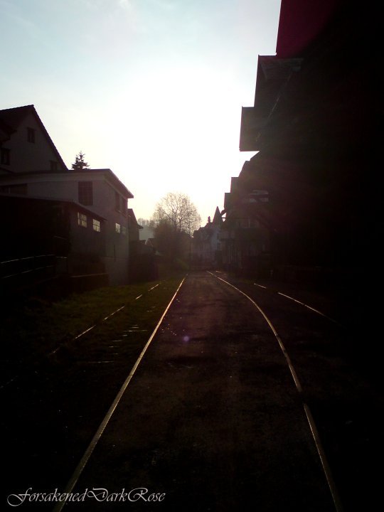 Along the old rail tracks