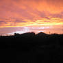 Burnin Sky II