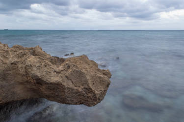 Rock Dragon Head