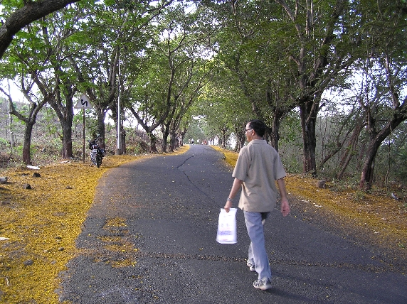 The Road