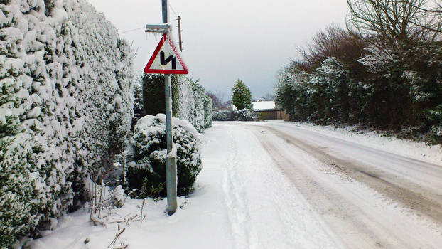 Winter Lane