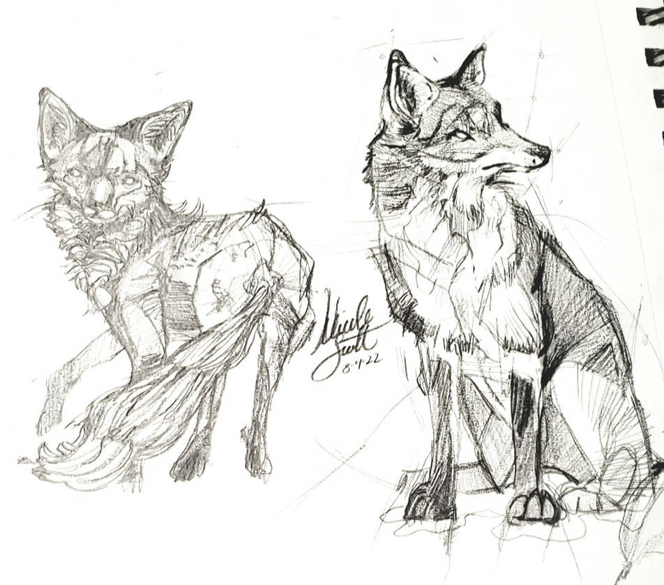 VULPES VULPES by AngelenesArt on DeviantArt