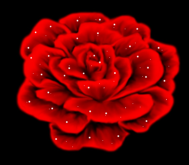 A rose red