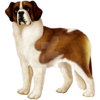 Saint Bernard