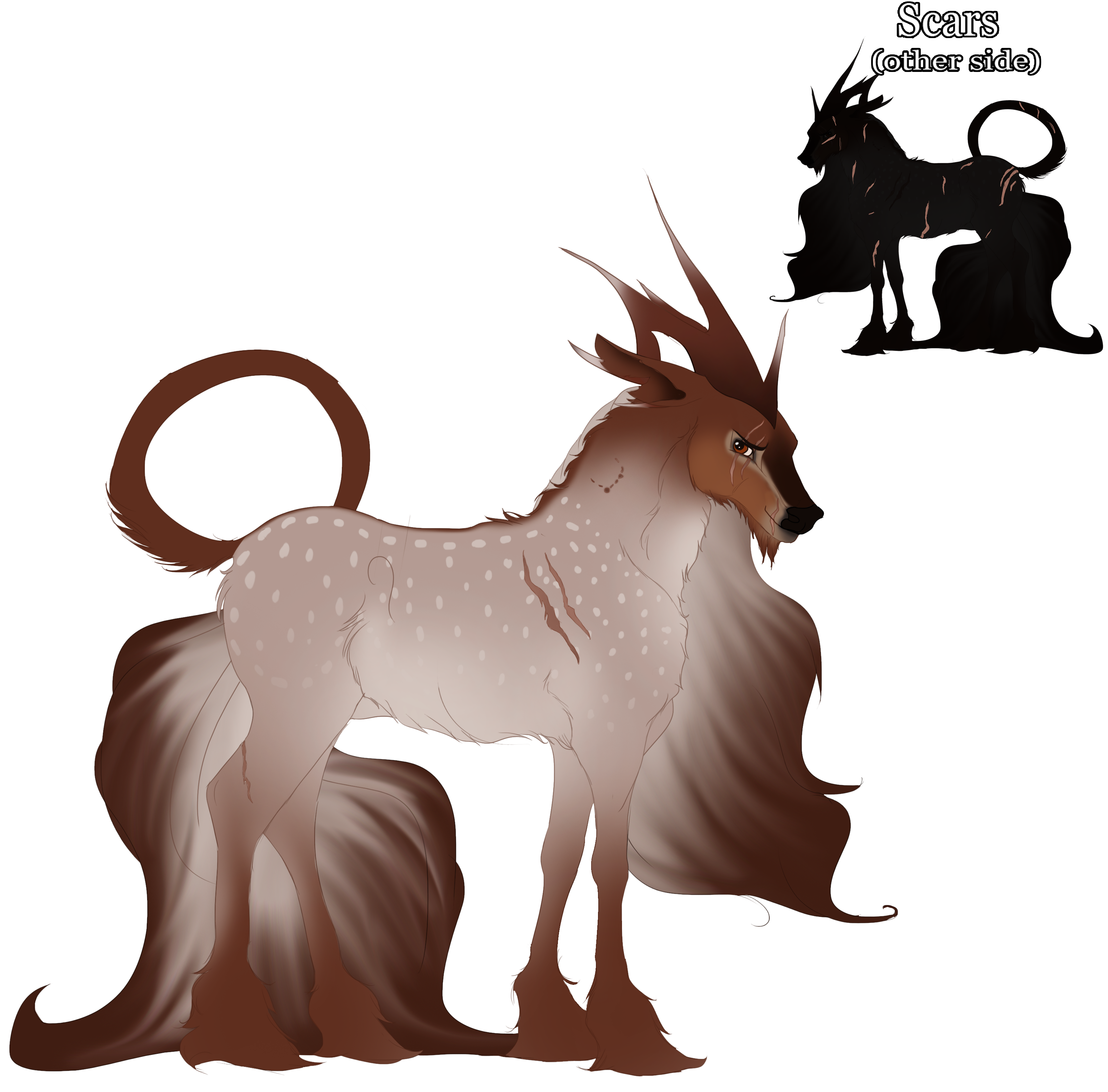 Crion | Stag | Refugee/Witch's Apprentice