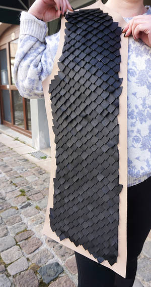 Step by step, a lot of scales !!!
