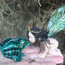 Fairy and Frog