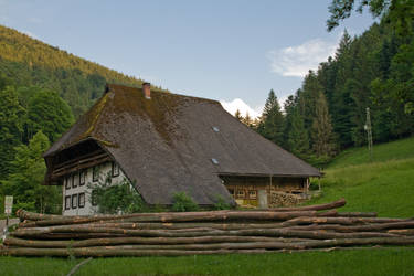 Black Forest House