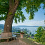 View to Lake Bodensee