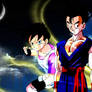 Gohan and Videl