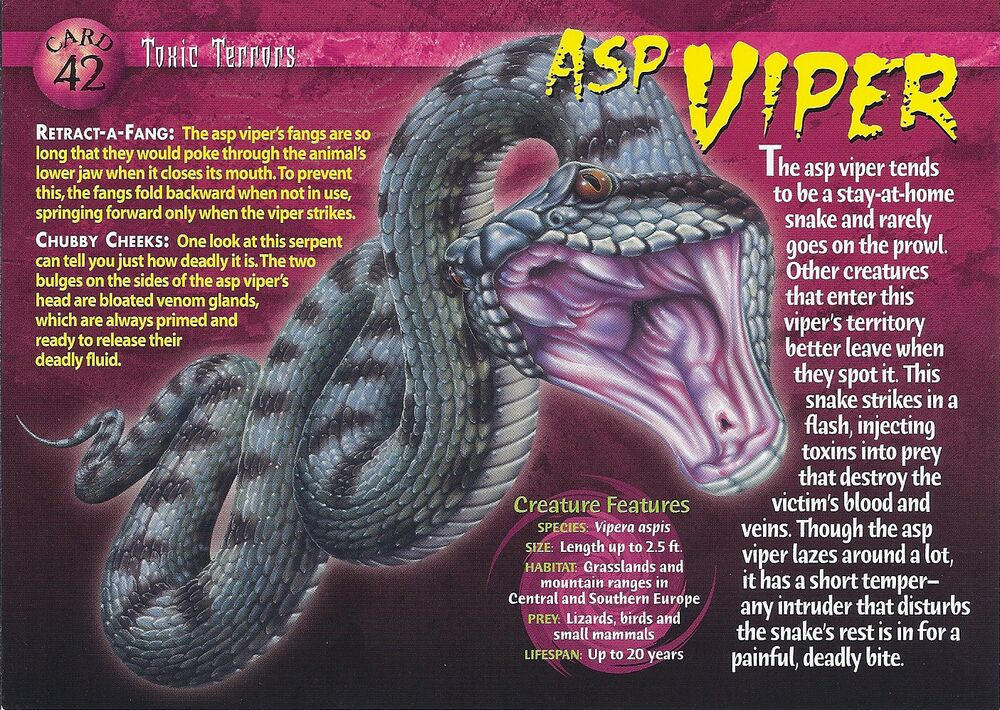 Toxic T #42 Asp Viper (front) by Frylock921 on DeviantArt