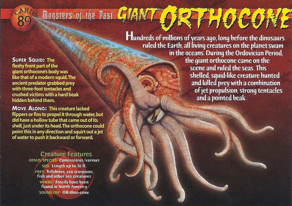 MOTP #89 Giant Orthocone (front) by Frylock921 on DeviantArt