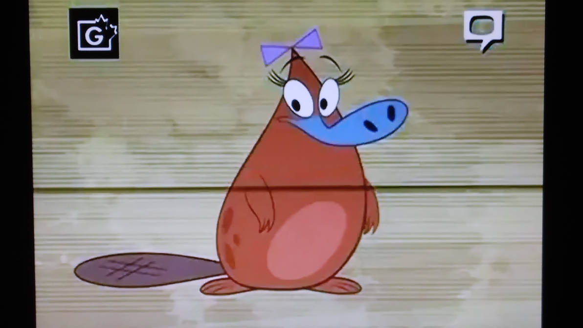 Platypus by Frylock921 on DeviantArt