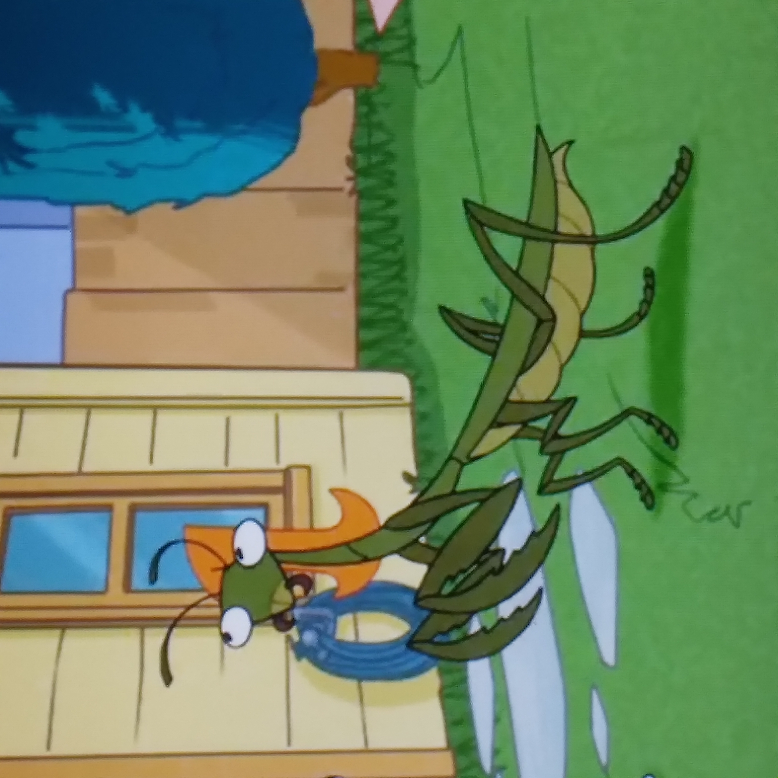 Mants Deviantart Candace the Mantis by Frylock921 on DeviantArt