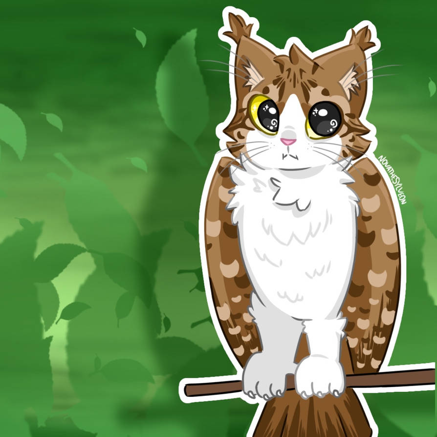 Meowl Letter Meowl by NovaTheSylveon on DeviantArt