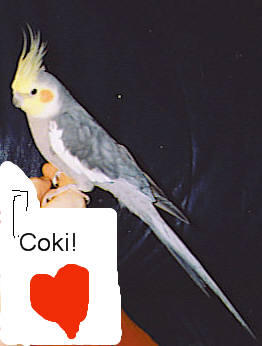 Coki