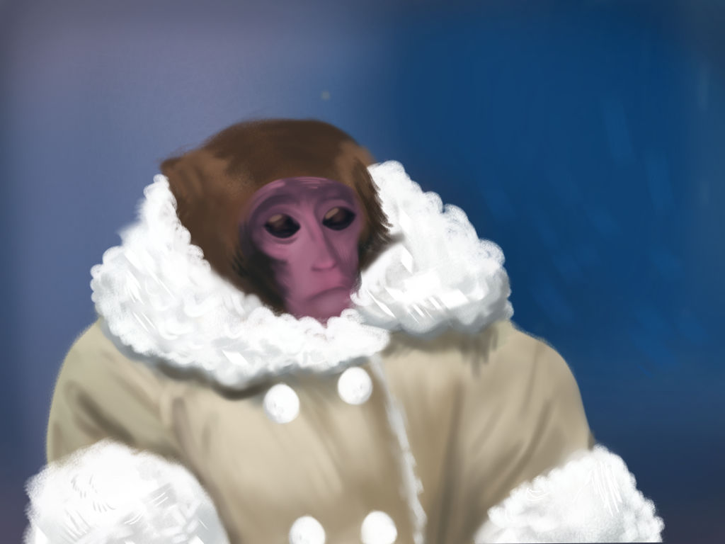 IKEA Monkey Meme + by GummyGumBeat on DeviantArt