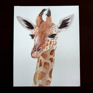 giraffe