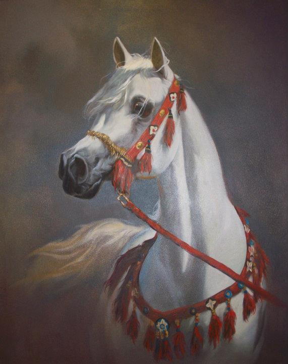 White Arab horse