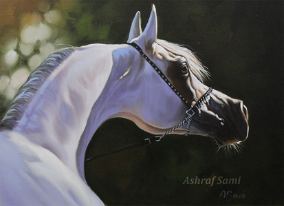 Arabian Horse ,, oil painting on canvas