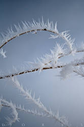 Rime Crystals