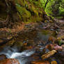 Back to Parfrey's Glen 2