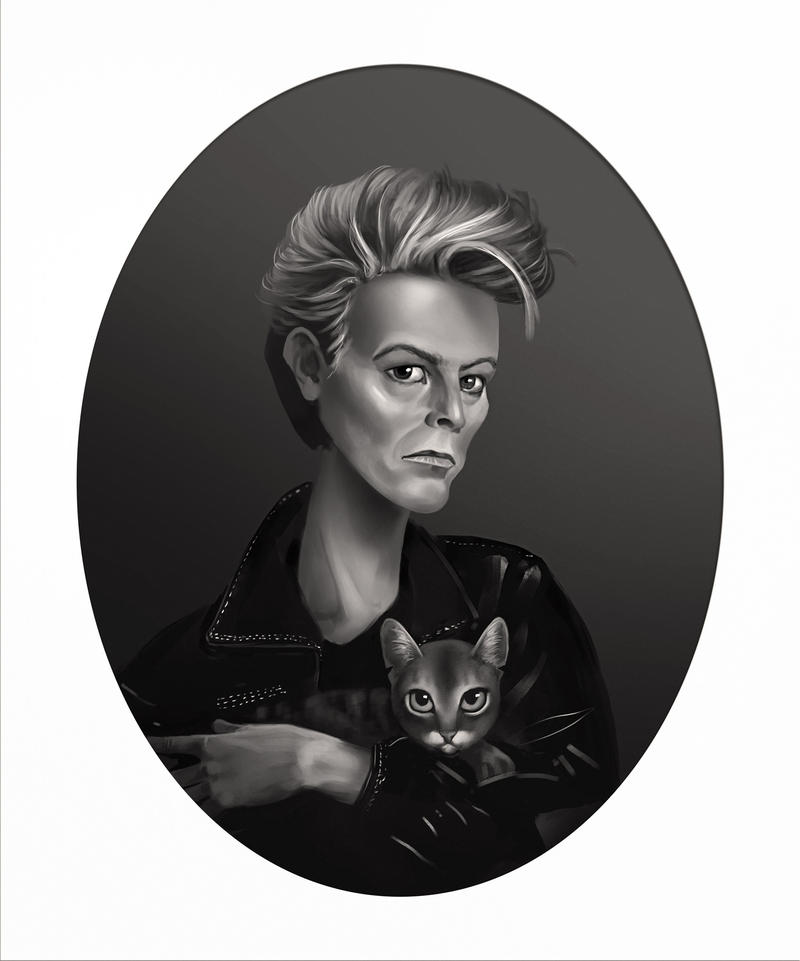 Кэт дженис певица. Коты и Дэвид Боуи. Дэвид Боуи сфинкс. Дэвид Боуи с кошкой. Котик Bowie.