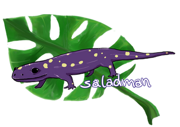 Saladman