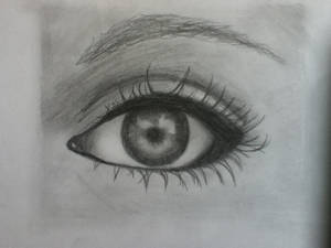 Eye