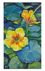 Nasturtium