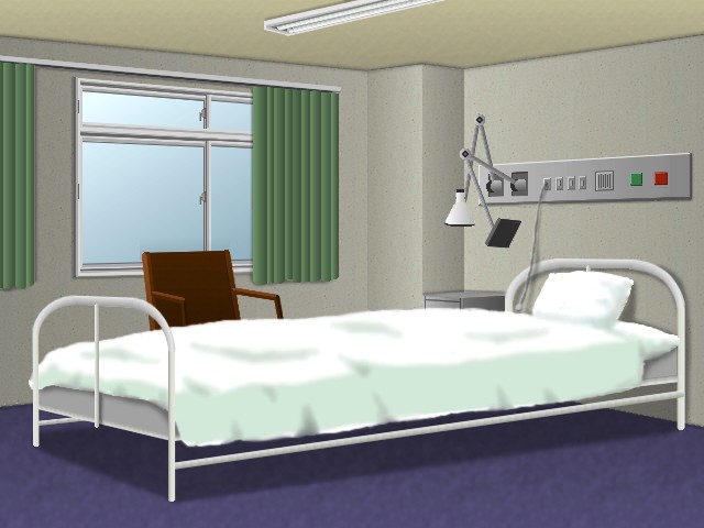 Hospital Bed