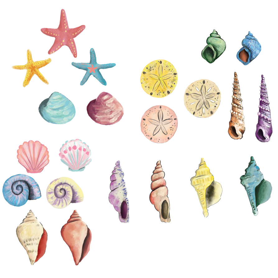 Sea Shell Sprites Seashell Assets by christophski00 on DeviantArt