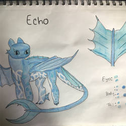 Echo