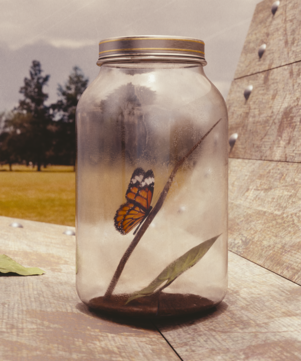 Butterfly in a Jar