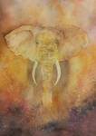 Elephant by seadworp