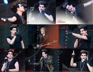 Adam Lambert Collage 2011