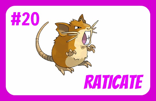 Raticate by minguinpingu05 on DeviantArt