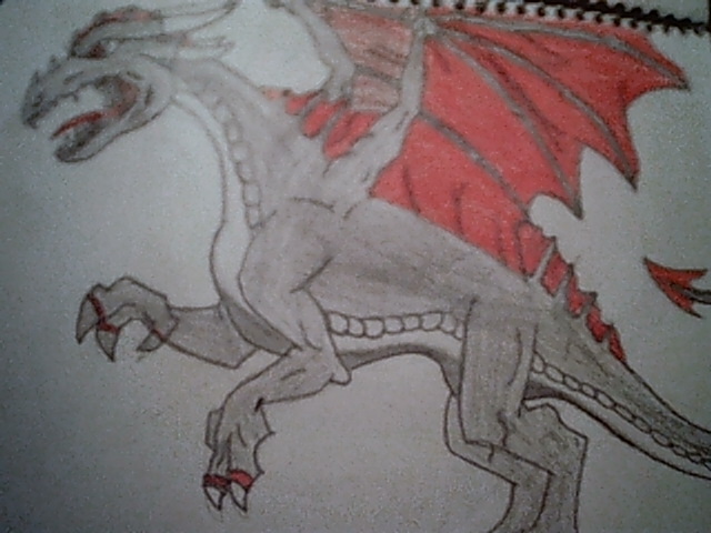 Shadow Dragon