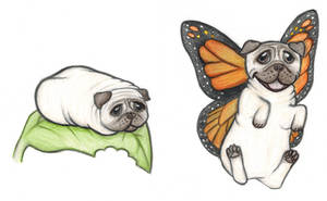 Puggerfly