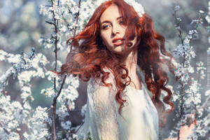 Natalis Domini. Spring Garden by RavenaJuly Natalis Domini. Spring Garden by RavenaJuly
